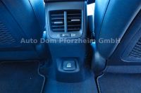 Kia Niro 1.6 GDI PHEV Plug-in Hybrid Spirit/GD/Leder