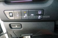 Kia Niro 1.6 GDI PHEV Plug-in Hybrid Spirit/GD/Leder