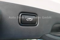 Kia Niro 64,8 INSP/WP/DW/TEC/REX/SD/GD