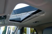 Kia Niro 64,8 INSP/WP/DW/TEC/REX/SD/GD