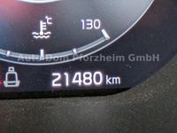 Kia ProCeed 1.5 T-GDI DCT GT-line / Tech/Leder