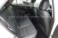 Kia Picanto PE 1.2 GT-line/Navi/Kamera