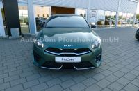 Kia ProCeed 1.5 T-GDI DCT7 GT-line/Techno/Leder/18