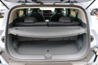 Kia EV2 42,2 Earth WIC 22 AC/ TECH /DRIVE /DES /SITZ