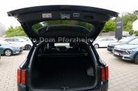 Kia Sorento 1.6 T-GDI PHEV AWD Platinum/Nappa/GD/AHK