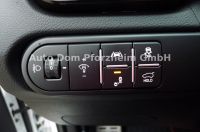 Kia Proceed GT 1.6T DCT Komfort/Panorama/AHK