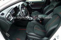 Kia Proceed GT 1.6T DCT Komfort/Panorama/AHK