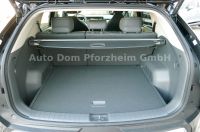 Kia EV3 58,3 EARTH / WIC / UPG / DWP / BUS