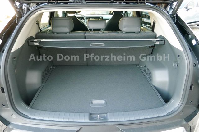 Kia EV3 58,3 EARTH / WIC / UPG / DWP / BUS