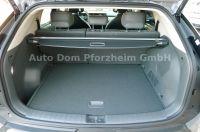 Kia EV3 58,3 KWH 150 KW EARTH WIC UPG DWP BUS