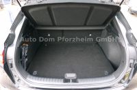 Kia XCeed 1.5 T-GDI DCT Vision + Komfort-Paket/NAVI