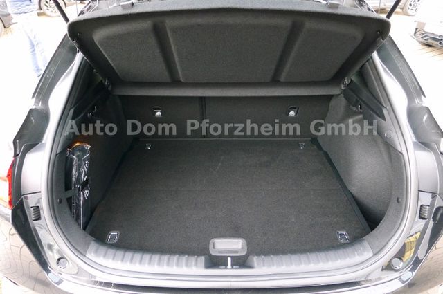 Kia XCeed 1.5 T-GDI DCT Vision + Komfort-Paket/NAVI