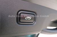 Kia Sportage 1,6T 48V DCT Spirit /UVO/AWD