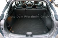 Kia XCeed 1.5 T-GDI DCT Vision + Komfort-Paket/NAVI