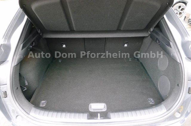 Kia XCeed 1.6 T-GDI DCT GT-line/Leder/