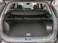 Kia Sportage 1,6T 48V Spirit DCT DriveWise Park+