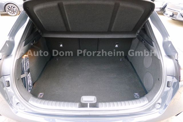 Kia XCeed 1.6 T-GDI DCT GT-line/Leder