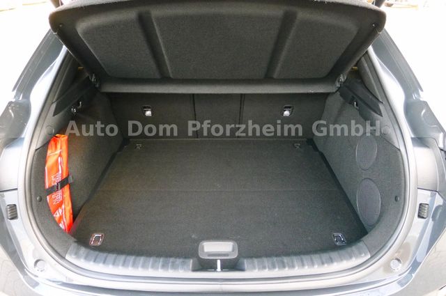 Kia XCeed 1.6 T-GDI DCT GT-line/Leder-Paket