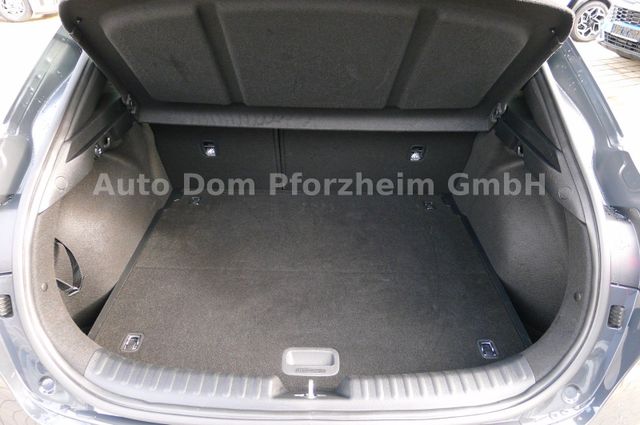 Kia XCeed 1.5 T-GDI DCT Vision + Komfort-Paket/NAVI