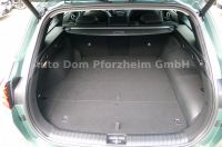 Kia CEED SW 1,6 PHEV DCT/Platinum-Edition/AHK