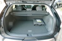 Kia EV3 58,3 KWH 150 KW EARTH WIC UPG DWP SD