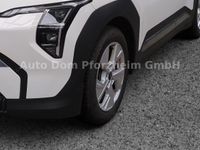 Kia EV3 58,3 EARTH / WIC / UPG / DWP / BUS
