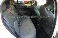 Kia EV3 58,3 EARTH / WIC / UPG / DWP / BUS