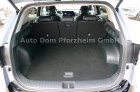 Kia Sportage 1.6 CRDI 48V DCT Spirit/Drive-Paket/UVO