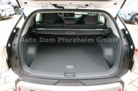 Kia EV3 150KW 81.4KWh AIR/ WINTER-PAK/ DWA
