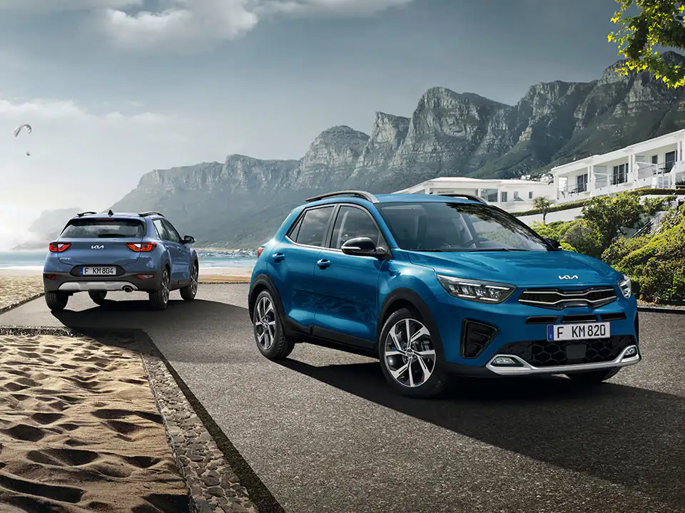 Selbstbewusste Erscheinung.