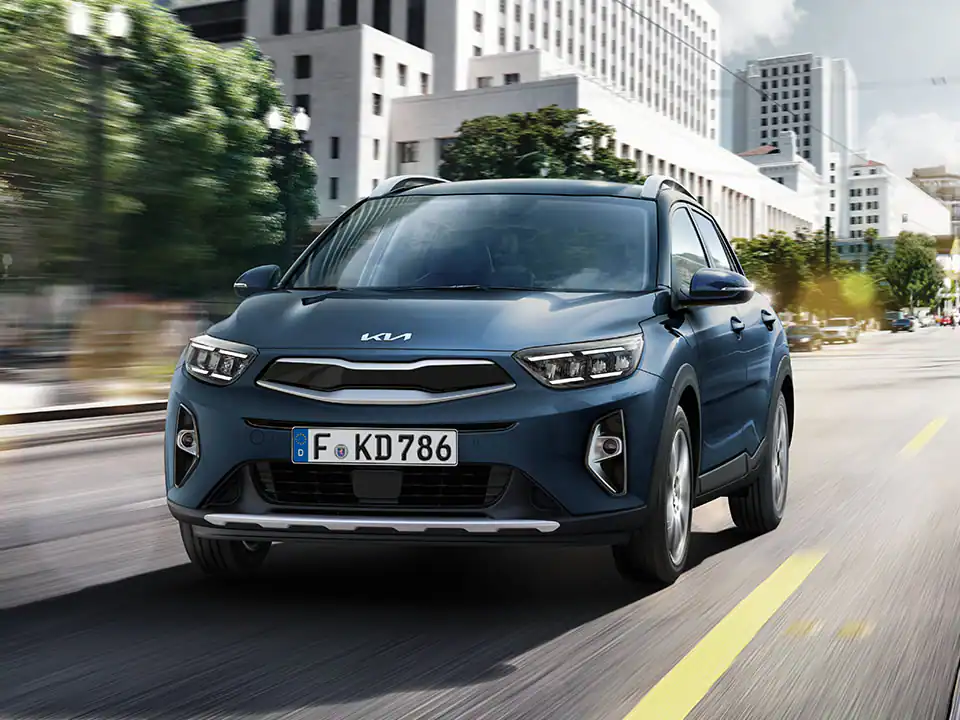 Unübersehbar – und das ist Absicht